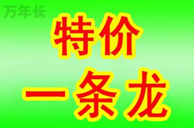 广东省清远市佛冈县迳头镇买墓地大概是多少钱？